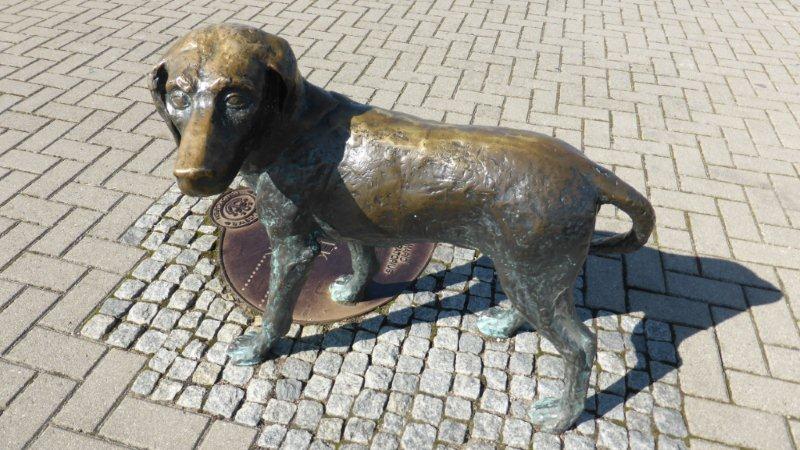 P1010024 - Kopie.JPG